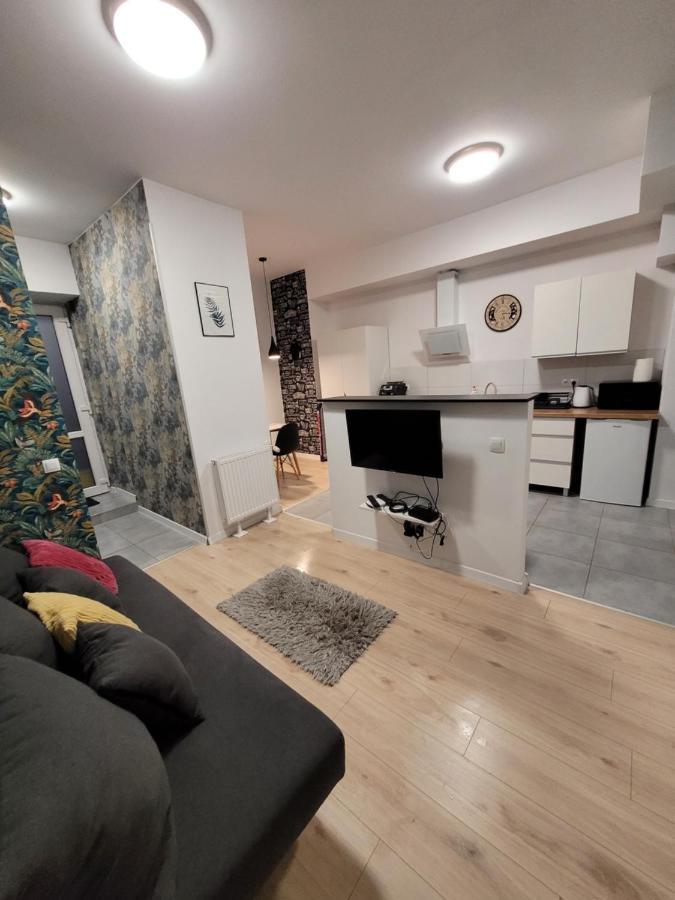 Apartamenty Cieplicka 20 يلينيا غورا المظهر الخارجي الصورة
