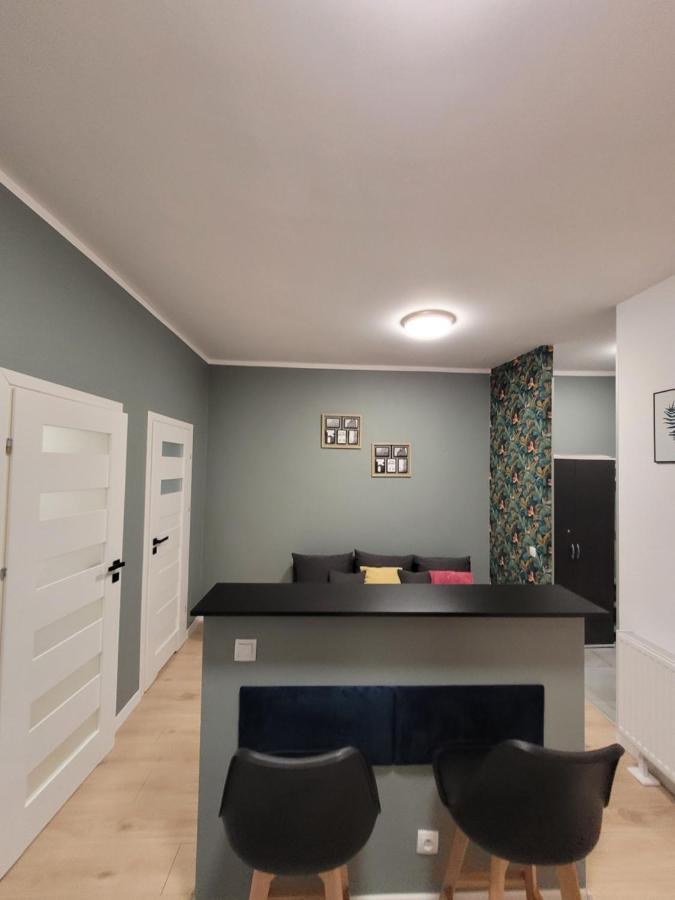 Apartamenty Cieplicka 20 يلينيا غورا المظهر الخارجي الصورة